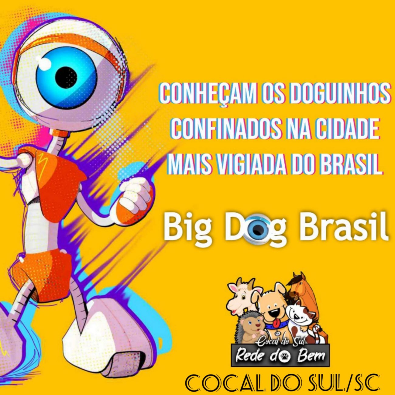 big dog brasil inspirada em reality campanha incentiva a adocao consciente de animais whatsapp image 2022 01 28 at 18.55.05 1