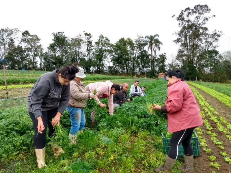 agricultores tem ate dia 31 para prestar contas e concorrer a vale compras de r 15 mil 16092107 c4afe589 c