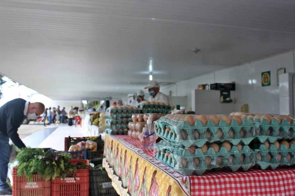 strongmais uma edicao especial da feira da agricultura familiar neste sabadostrong img 3421