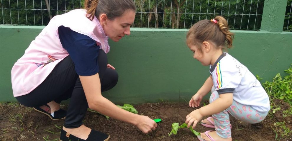 strongplantando habitos saudaveis colhendo alimentacao de qualidade professora incentiva criancas a cultivarem o proprio alimentostrong 13.58.01 1