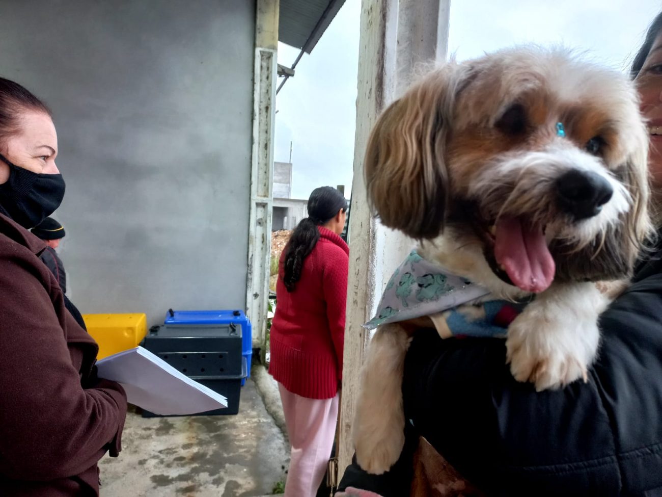strongcocal do sul tem mais de 160 animais castrados pelo programa de castracaostrong 10.46.28