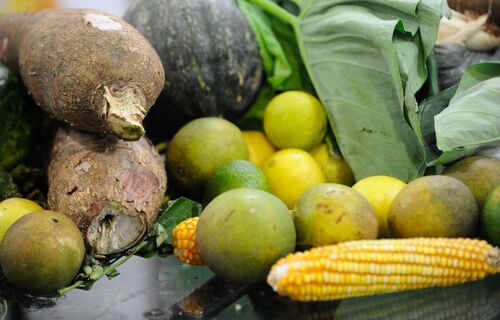 vitamina d pode trazer beneficios e maleficios para a saude b6ddb1640e40bdd68db56d48e7164c4813c0819bad11420b1fe7db253f4a5ce3