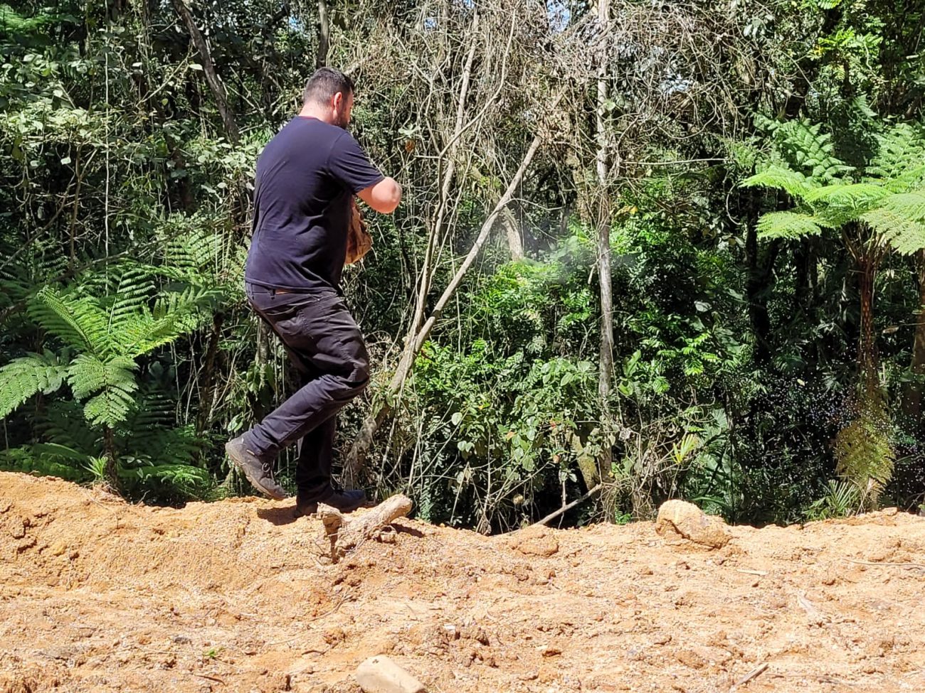dma promove plantio de especies nativas na serrinha de santana acao ambiental dma serrinha santana por ana paula nesi 3