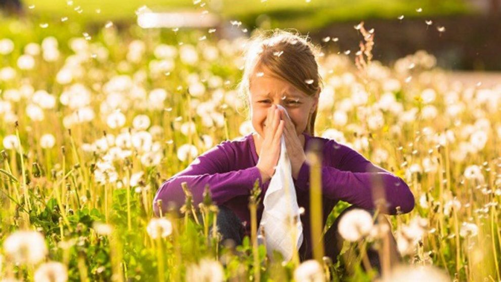 primavera estacao acentua casos de conjuntivite e alergias oculares alergia primavera