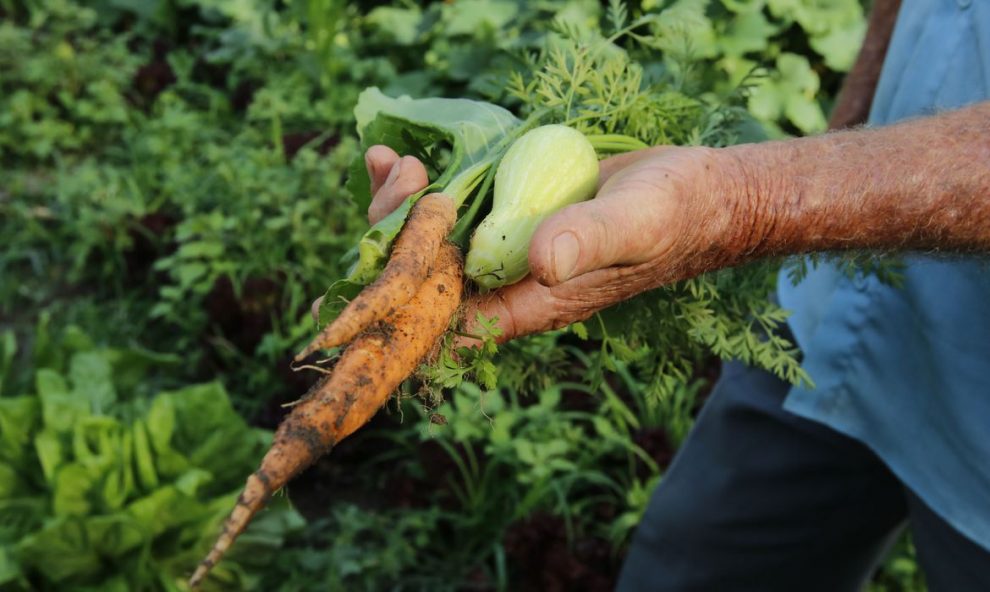 pesquisa mostra que 74 dos brasileiros se dizem consumidores ambientalmente conscientes tnrgo abr 221020196393