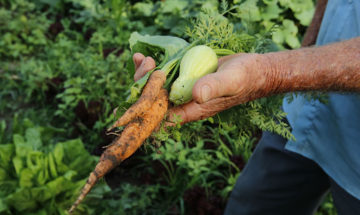 pesquisa mostra que 74 dos brasileiros se dizem consumidores ambientalmente conscientes tnrgo abr 221020196393