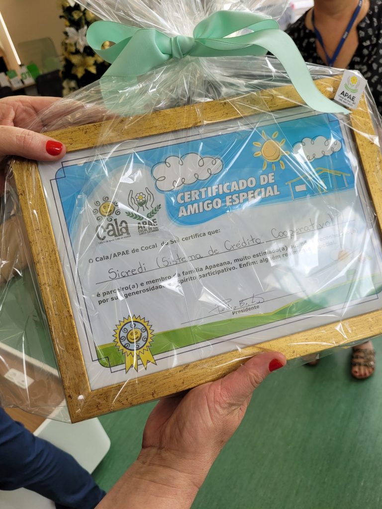 sicredi recebe certificado de amigo especial da apae cocal do sul amigo especial da apae sicredi por ana paula nesi 3
