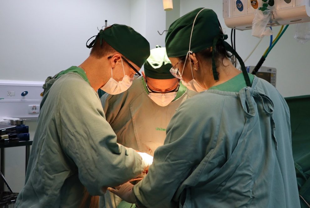 transplante osseo hospital unimed criciuma 2