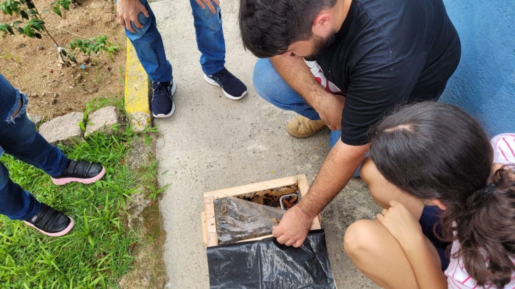 emstronginiciativa da apae cocal do sul utiliza criacao de abelhas sem ferrao como meio terapeuticonbspstrongem meliponario apae por ana paula nesi 10 1