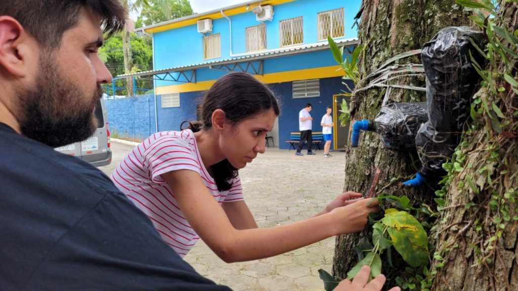 emstronginiciativa da apae cocal do sul utiliza criacao de abelhas sem ferrao como meio terapeuticonbspstrongem meliponario apae por ana paula nesi 12