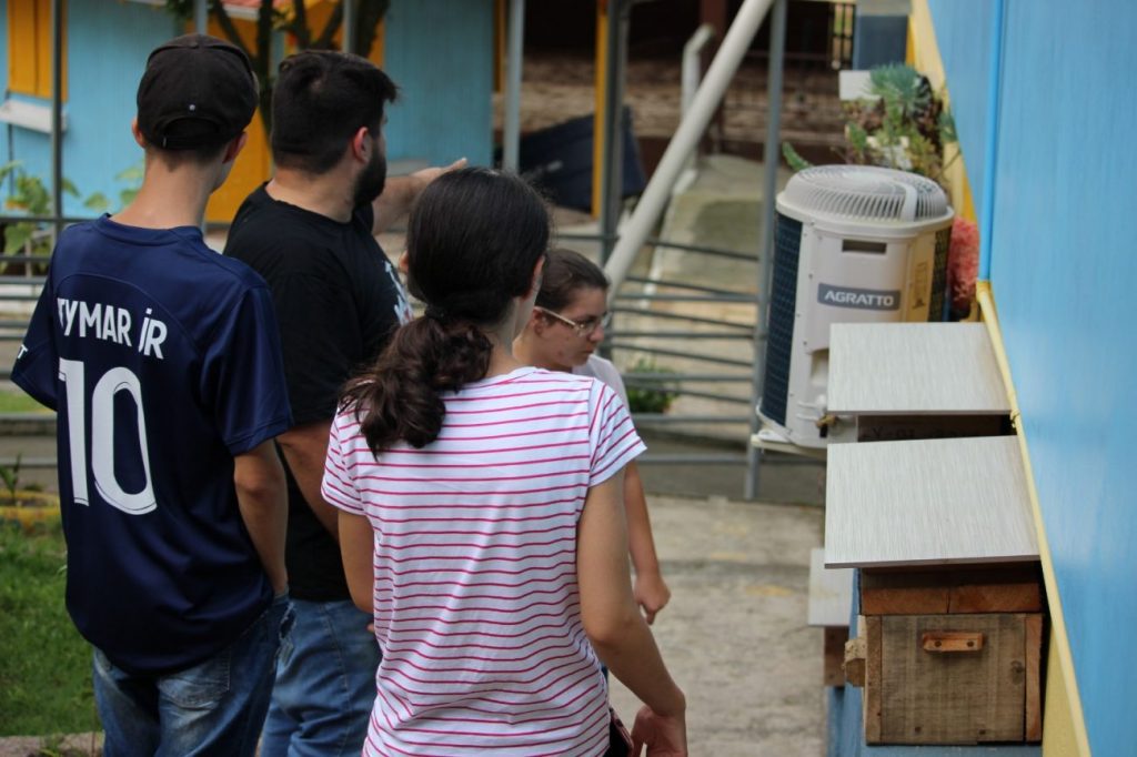 emstronginiciativa da apae cocal do sul utiliza criacao de abelhas sem ferrao como meio terapeuticonbspstrongem meliponario apae por ana paula nesi 6