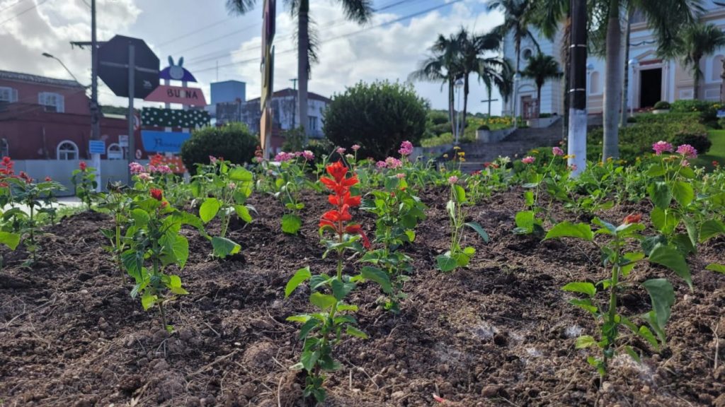 urussanga praca anita garibaldi recebe plantio de flores e plantas ornamentais flores na praca por ana paula nesi 1