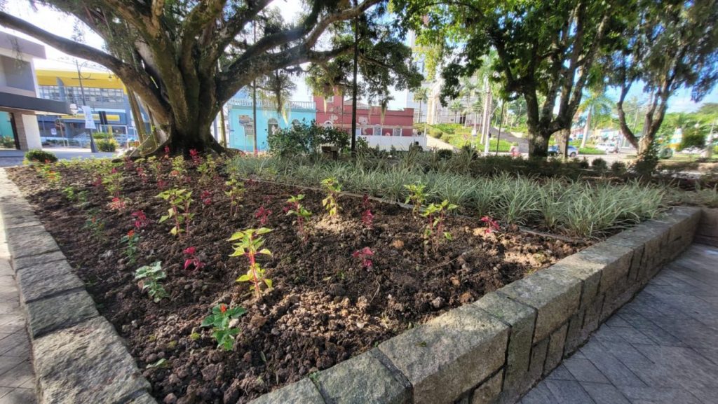 urussanga praca anita garibaldi recebe plantio de flores e plantas ornamentais flores na praca por ana paula nesi 9