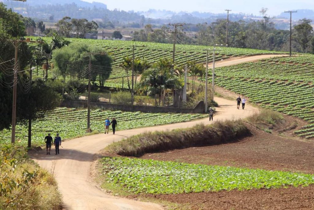 caminho sagrado completa um ano ecomemora seu peregrino numero 300 icara