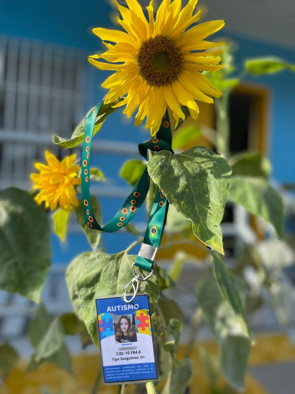 Cordão de Girassol ajuda a identificar pessoas com transtornos e ...