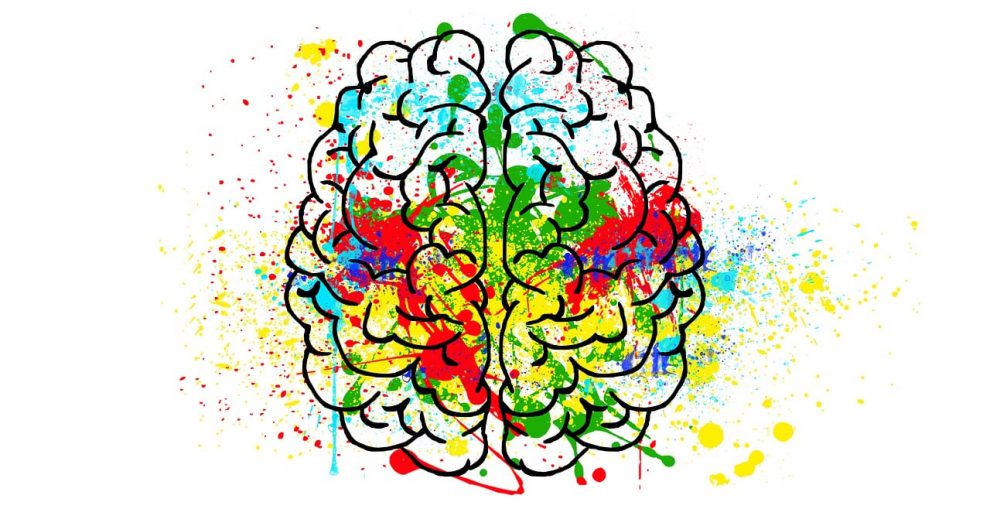 o cerebro por tras da disforia de genero o que a ciencia tem a dizer brain g624d88e50 1280