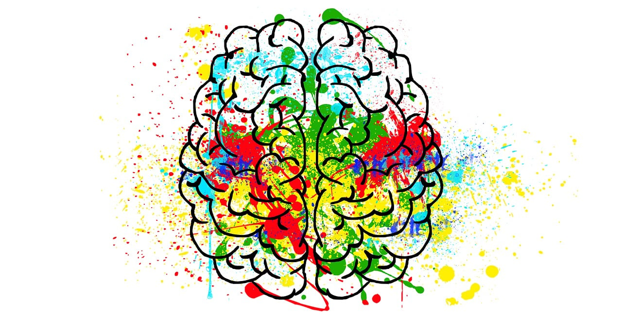 o cerebro por tras da disforia de genero o que a ciencia tem a dizer brain g624d88e50 1280