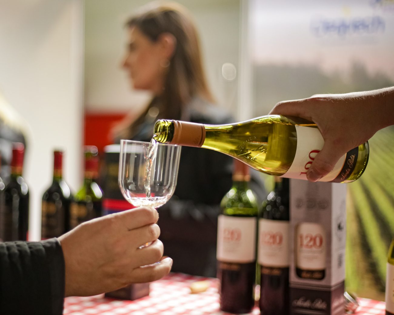 vino formaggio sommelier da dicas de vinhos para iniciantes foto bob monteiro 3