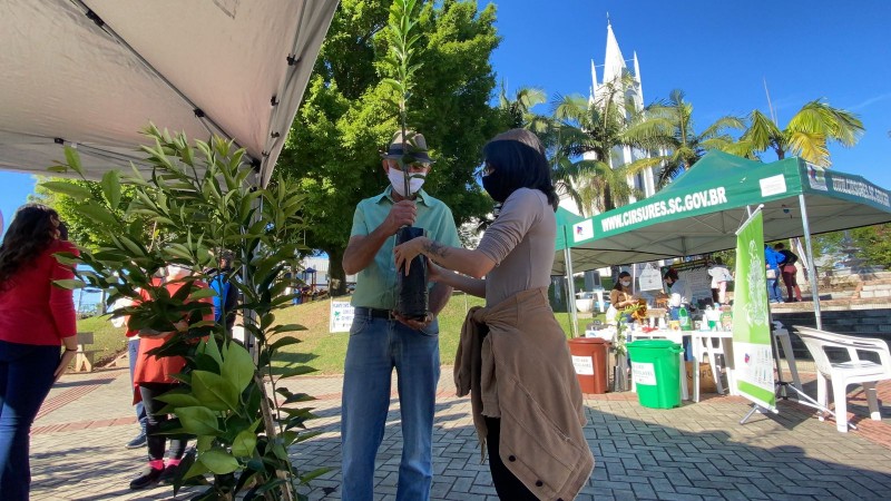 prefeitura de cocal do sul promove acoes na semana do meio ambiente cocal do sul promove acoes para a semana do meio ambiente