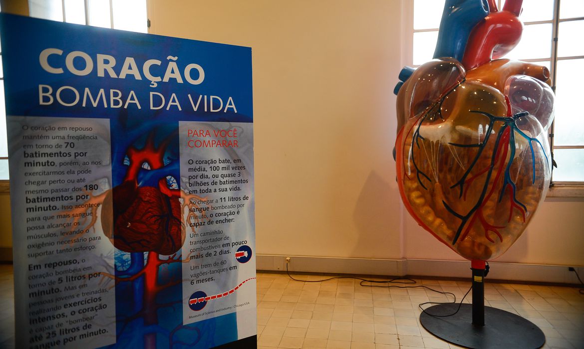 internacoes por infarto aumentam mais de 150 no brasil 1023611 capa 03062016 dsc5706 1