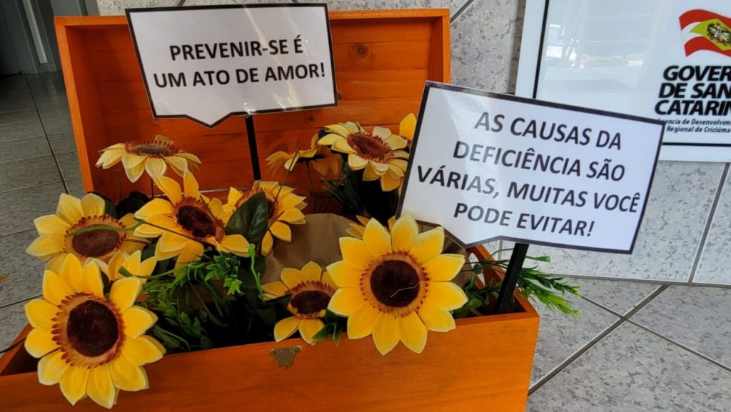 agosto laranja serie de videos busca conscientizar sobre a prevencao de deficiencias prevencao agosto laranja por ana paula nesi 9