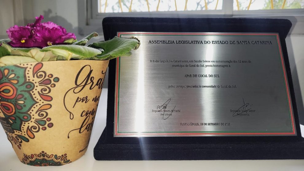 apae cocal do sul e homenageada em sessao solene promovida pela alesc homenagem alesc por ana paula nesi