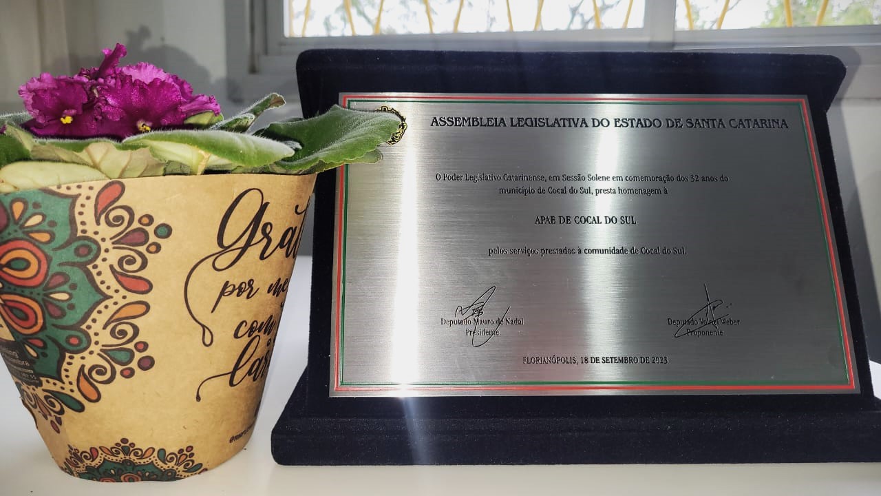 apae cocal do sul e homenageada em sessao solene promovida pela alesc homenagem alesc por ana paula nesi