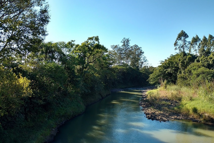 dia da arvore preservacao de matas ciliares impacta diretamente a qualidade das aguas unnamed 28