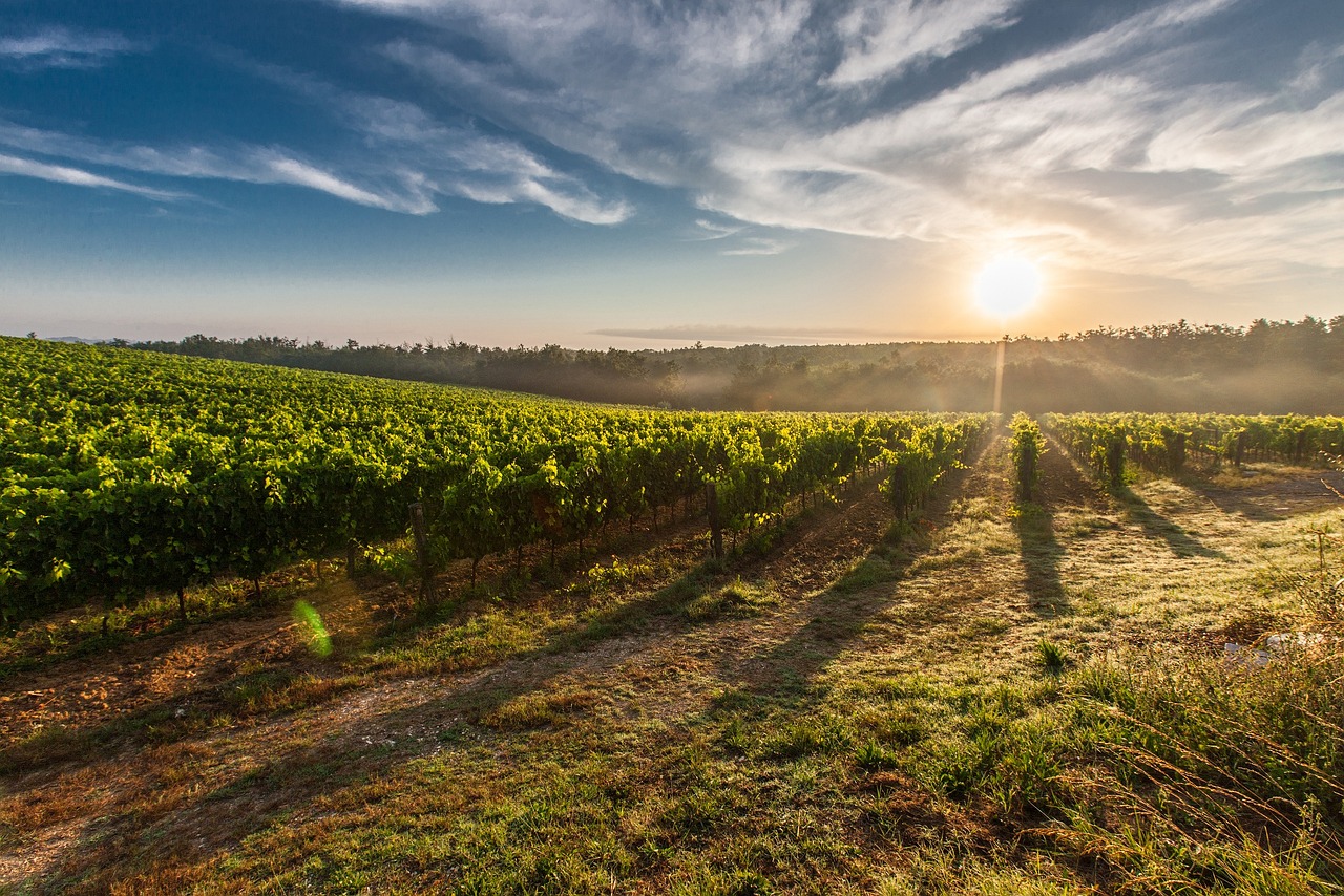 termina na sexta entrega da declaracao do imposto territorial rural vineyard 428041 1280