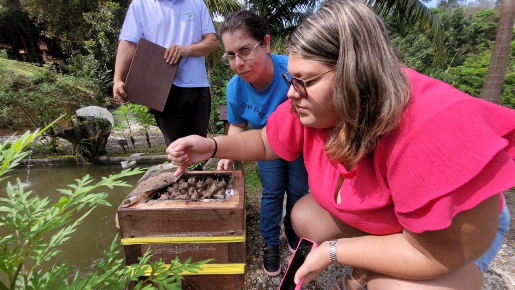 alunos da apae cocal do sul realizam visita a meliponario em lauro muller apae no meliponario rio do rastro por ana paula nesi 10 1