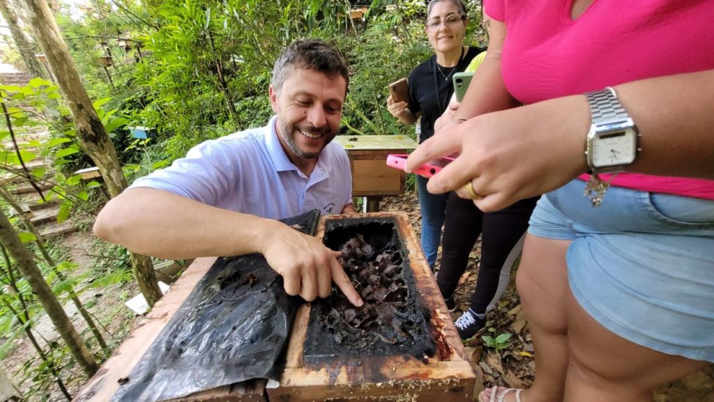 alunos da apae cocal do sul realizam visita a meliponario em lauro muller apae no meliponario rio do rastro por ana paula nesi 14