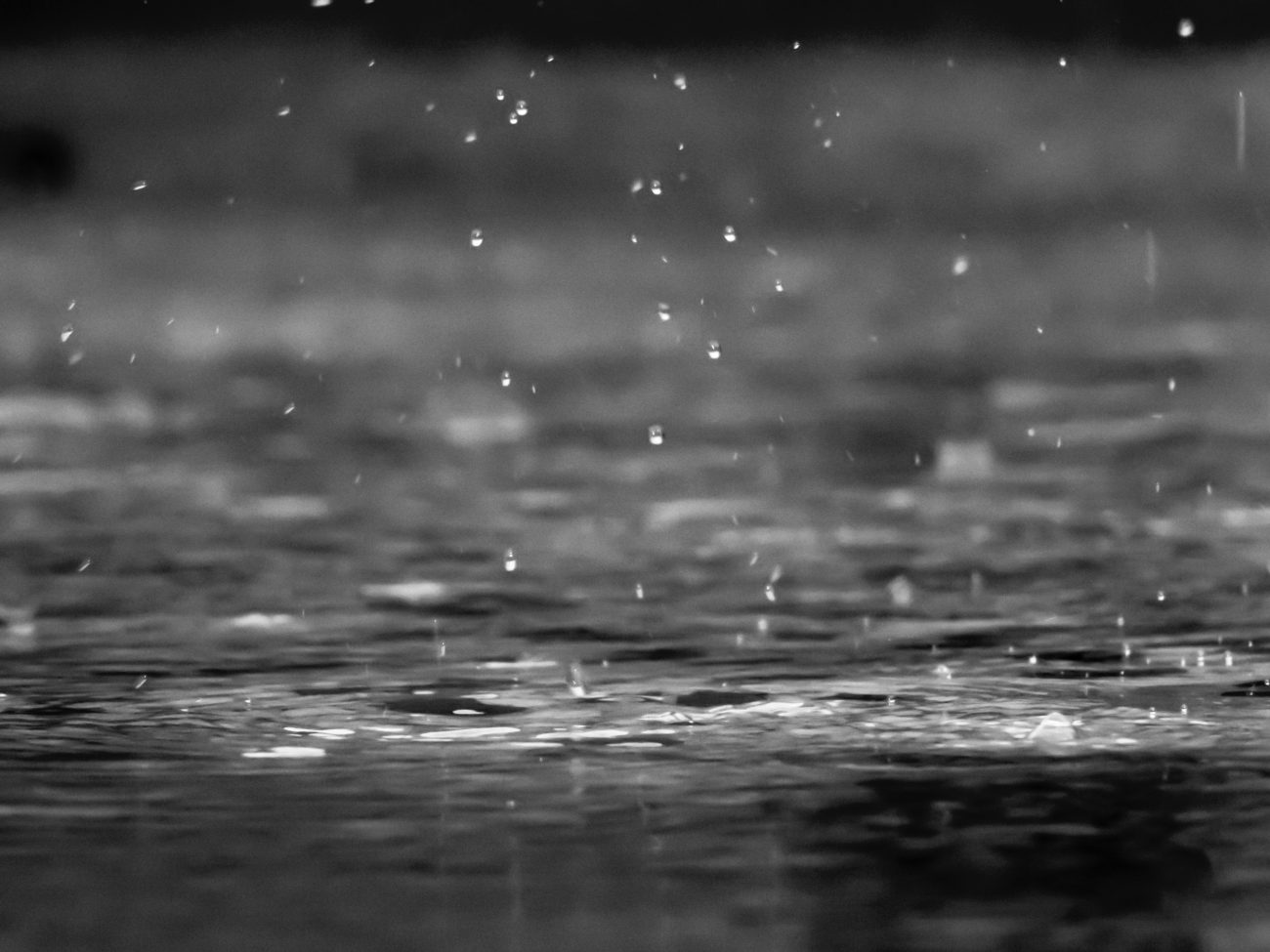 com previsao de chuvas volumosas equipes intensificam trabalhos de prevencao reza shayestehpour nw d8v79pm4 unsplash