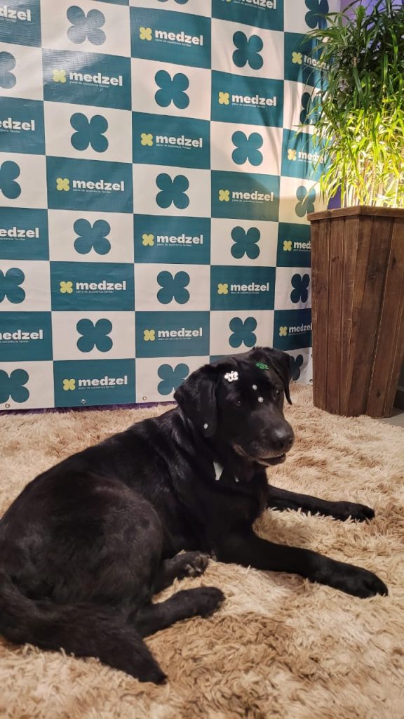 assistencia familiar cocal do sul agora e medzel inauguracao medzel por ana paula nesi 2