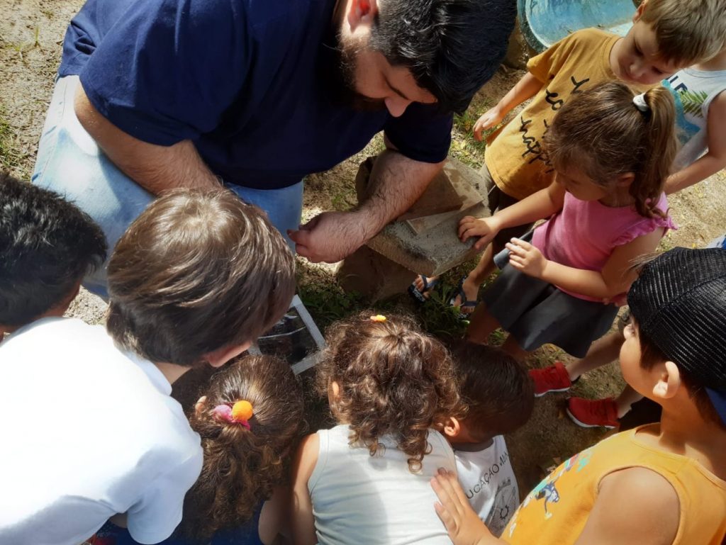 criancas da educacao infantil municipal recebem aula sobre abelhas sem ferrao na apae cocal do sul helena savi na apae meliponario divulgacao 1