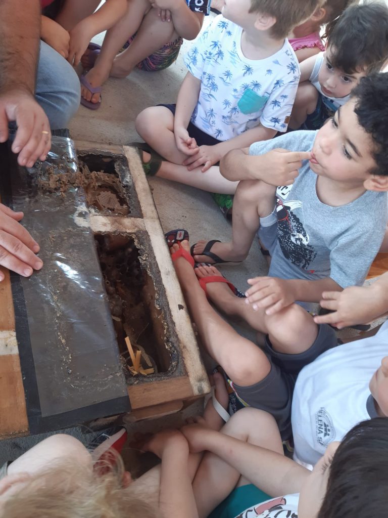 criancas da educacao infantil municipal recebem aula sobre abelhas sem ferrao na apae cocal do sul helena savi na apae meliponario divulgacao 4