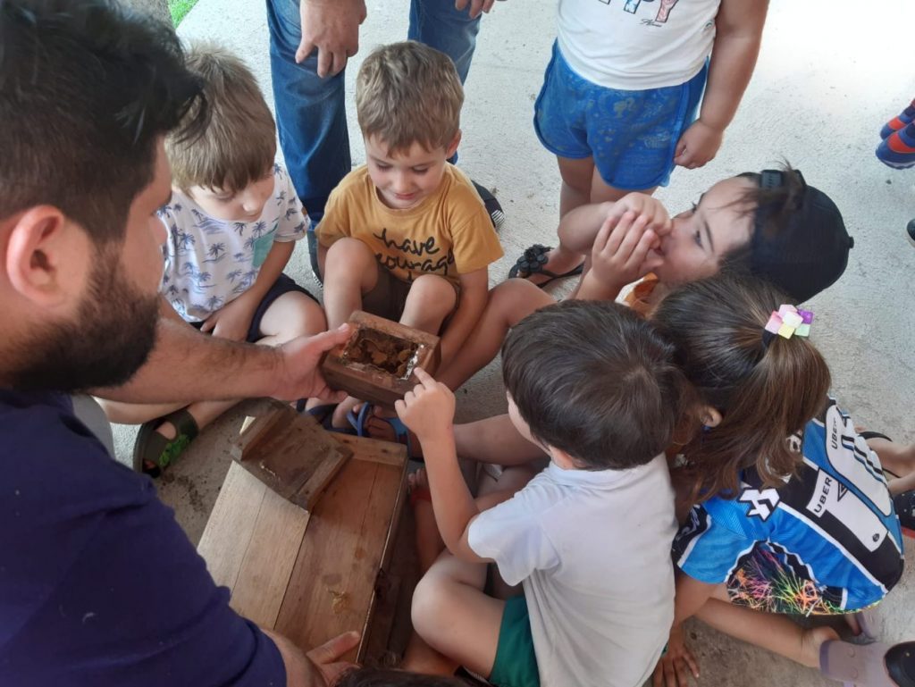 criancas da educacao infantil municipal recebem aula sobre abelhas sem ferrao na apae cocal do sul helena savi na apae meliponario divulgacao 7