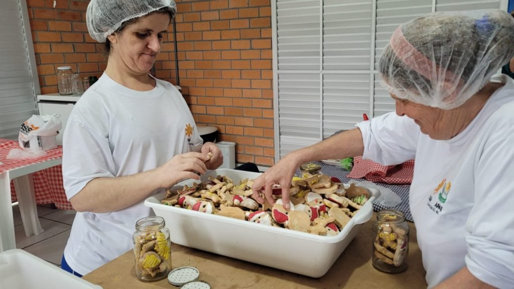 apae cocal do sul realiza feira de produtos artesanais neste sabado na praca produtos natal apae por ana paula nesi 7