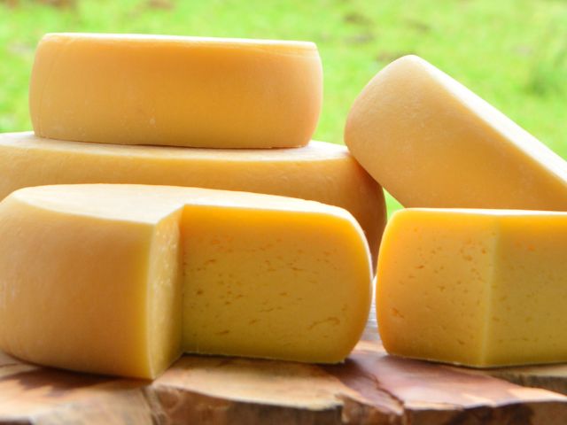 conheca os melhores queijos artesanais de santa catarina queijo serrano ig 1