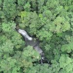 estado de santa catarina reduz desmatamento da mata atlantica em 66 dji 0355 1