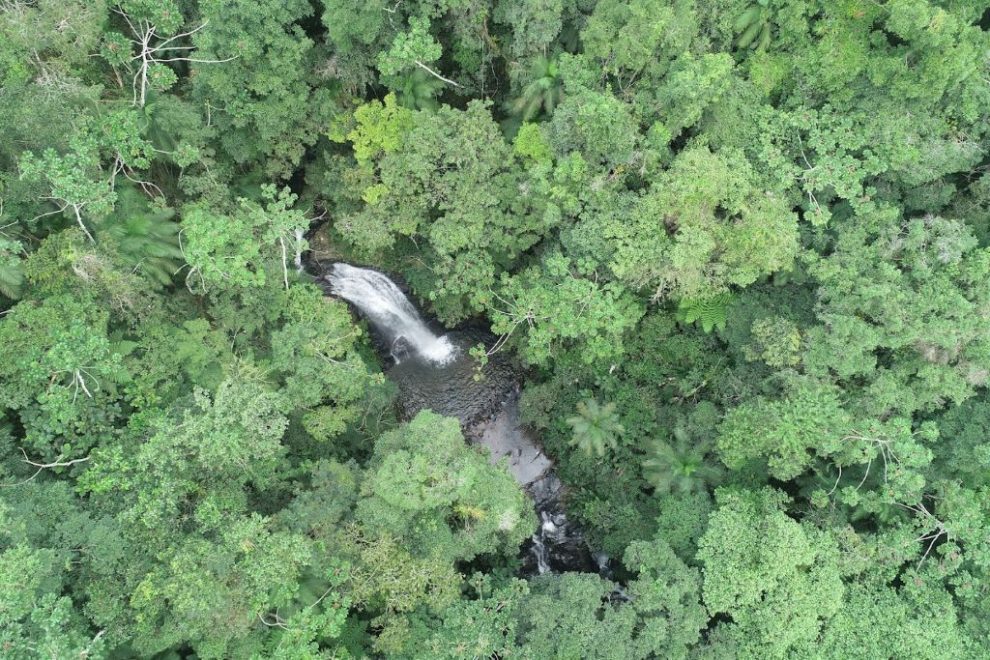 estado de santa catarina reduz desmatamento da mata atlantica em 66 dji 0355 1