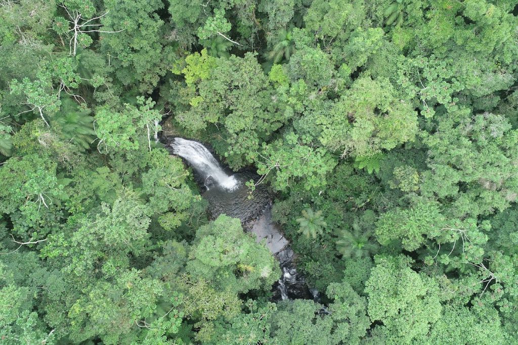 estado de santa catarina reduz desmatamento da mata atlantica em 66 dji 0355 1