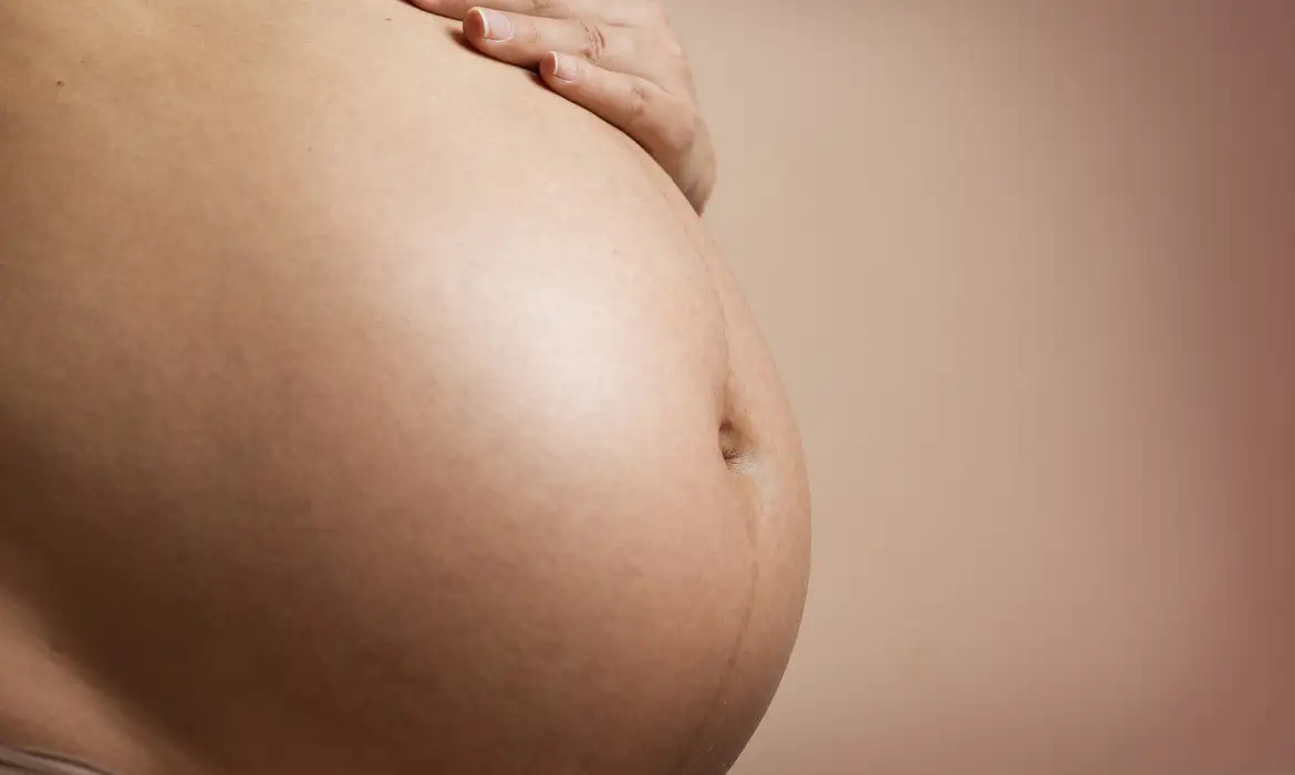 casos de dengue em gestantes aumentam 345 em 2024 pregnant 2635034