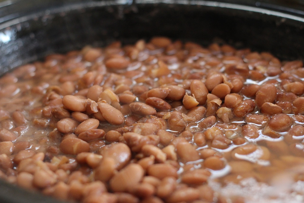 pinto beans 356622 1280