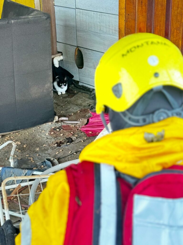 equipes do cbmsc ja salvaram mais de 3 500 vidas entre pessoas e animais no rio grande do sul whatsapp image 2024 05 13 at 16.25.36