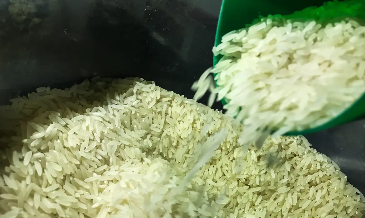 governo autoriza compra de 1 milhao de toneladas de arroz arroz 1009201524