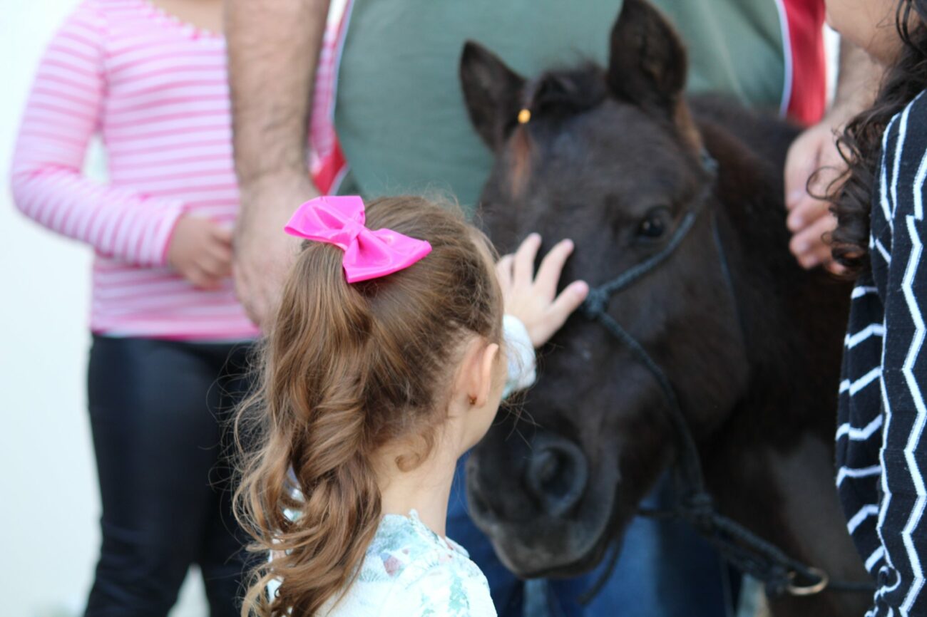 solidariedade em acao 2022 2