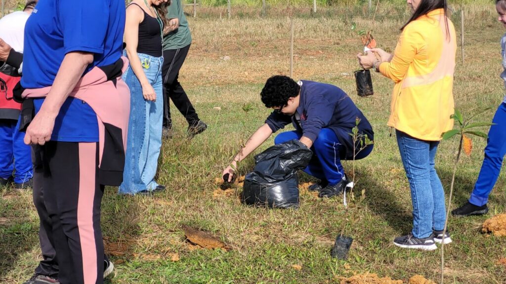 diretoria do meio ambiente e apae cocal do sul realizam plantio de arvores nativas frutiferas apae dma plantio de arvores por ana paula nesi 21