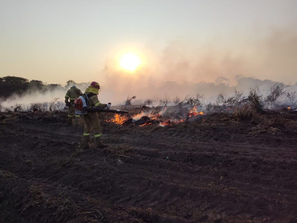 queimadas no pantanal bombeiros de santa catarina completam cinco dias de combate as chamas whatsapp image 2024 09 03 at 17.03.02 1