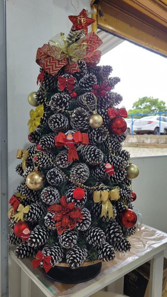 apae de cocal do sul transforma natal com produtos artesanais feitos por alunos produtos natal apae 4 1