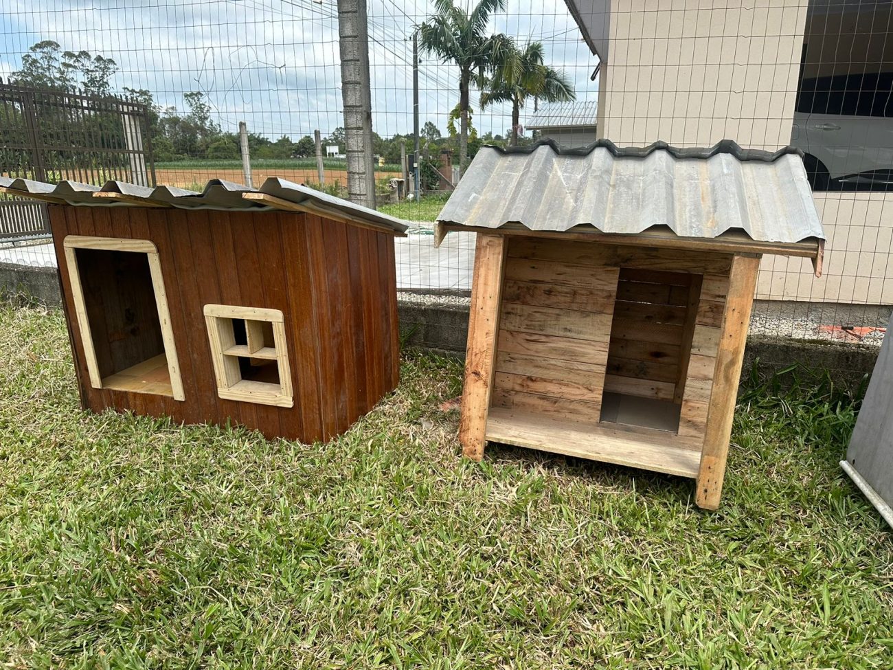casinhas para caes de rua serao fabricadas por detentos da penitenciaria sul whatsapp image 2024 11 05 at 18.45.13